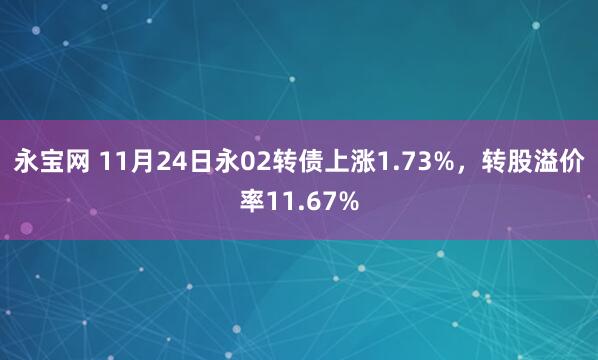 永宝网 11月24日永02转债上涨1.73%，转股溢价率11.67%