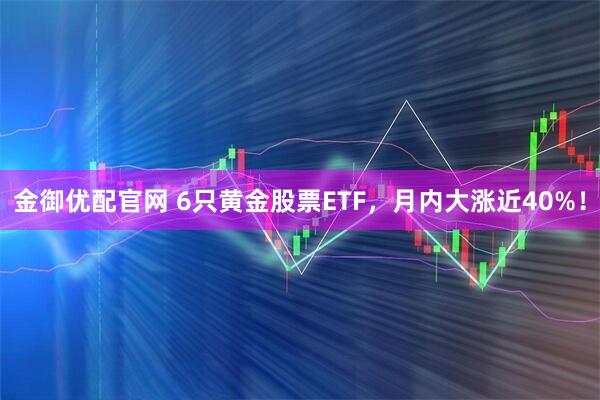 金御优配官网 6只黄金股票ETF，月内大涨近40%！