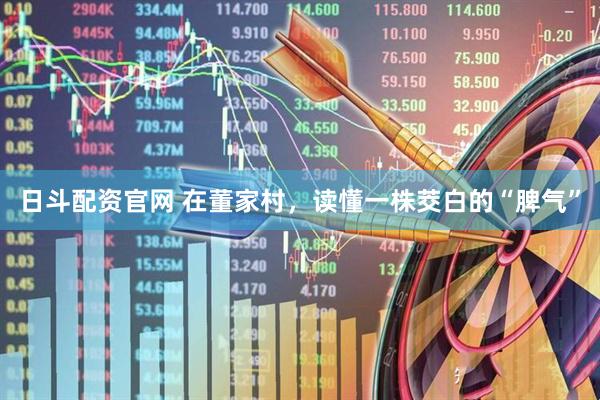 日斗配资官网 在董家村，读懂一株茭白的“脾气”