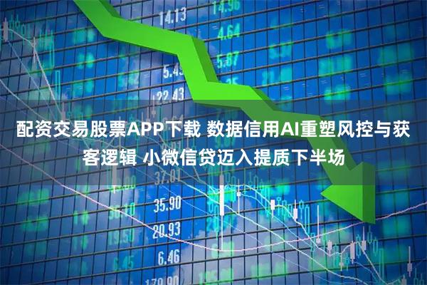 配资交易股票APP下载 数据信用AI重塑风控与获客逻辑 小微信贷迈入提质下半场